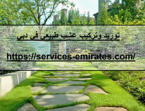 توريد وتركيب عشب طبيعي في دبي |0566719609| تنسيق حدا