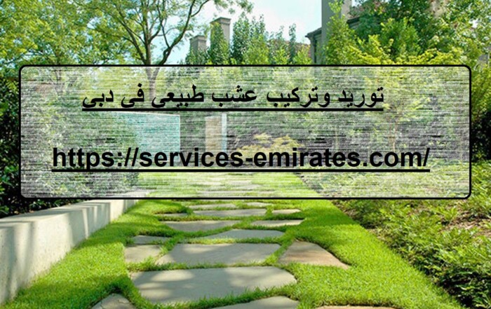 توريد وتركيب عشب طبيعي في دبي